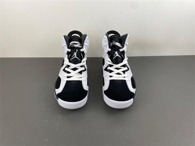 Air Jordan 6