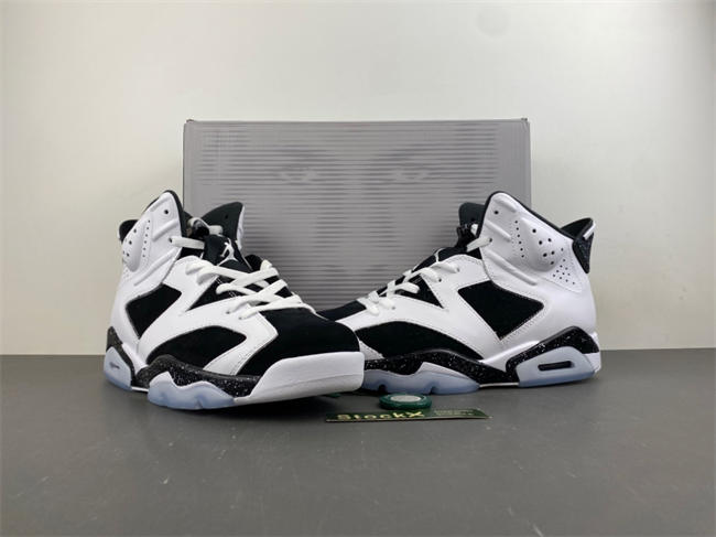 Air Jordan 6