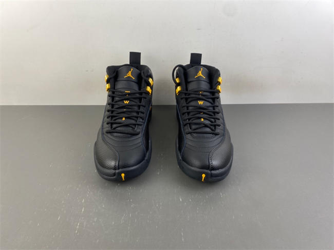 Air Jordan 12